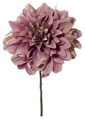 Dahlie Nele in Altrosa