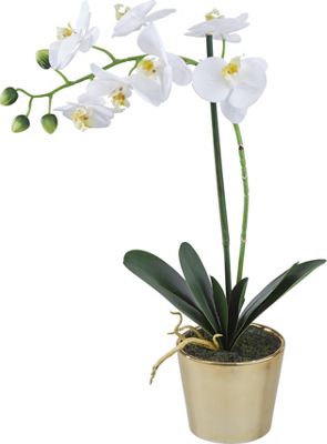 Kunstpflanze Cindarella in Weiß/Gold